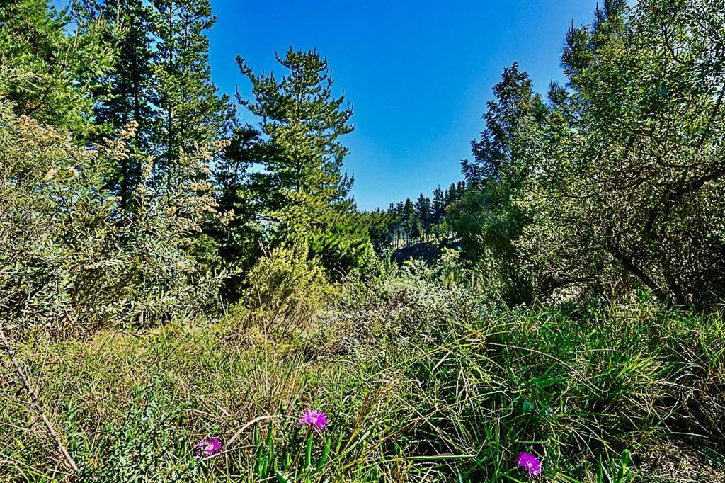 3 ha Land available in Wilderness Heights photo number 5