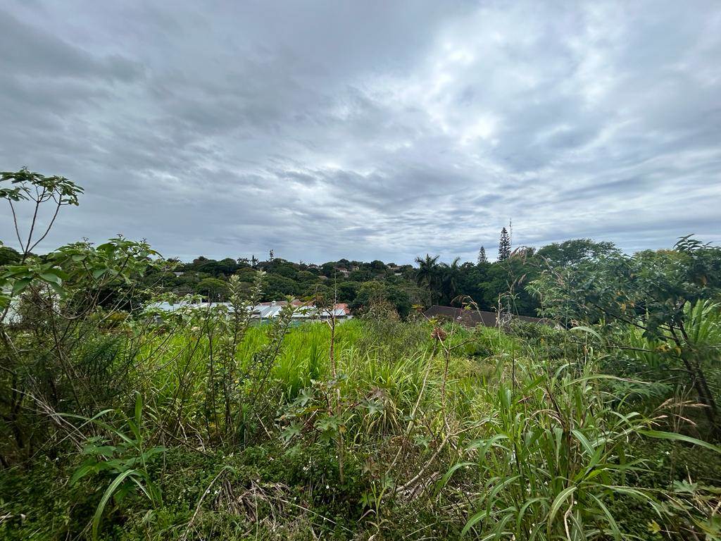 1443 m² Land available in Manaba photo number 4