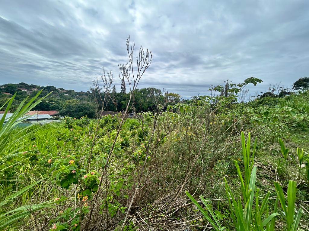 1443 m² Land available in Manaba photo number 2