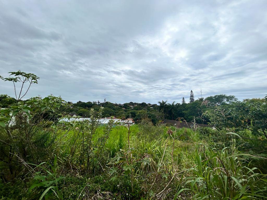 1443 m² Land available in Manaba photo number 1
