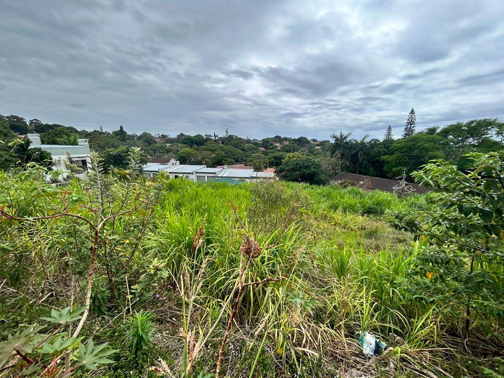 1443 m² Land available in Manaba photo number 3
