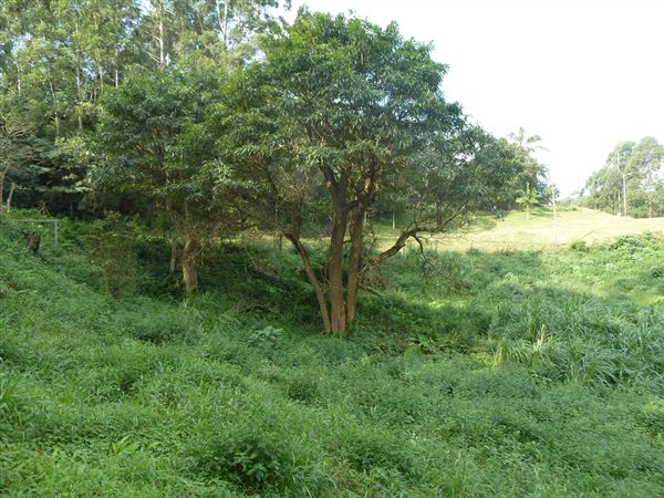 6000 m² Land available in Kloof