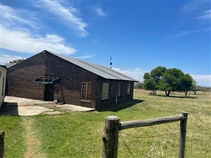 Farm in Newcastle Central
