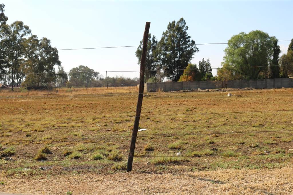 1088 m² Land available in Riversdale photo number 4