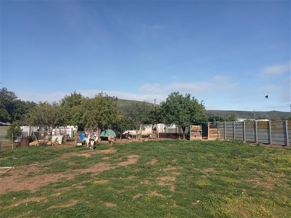 1388 m² Land available in Koringberg