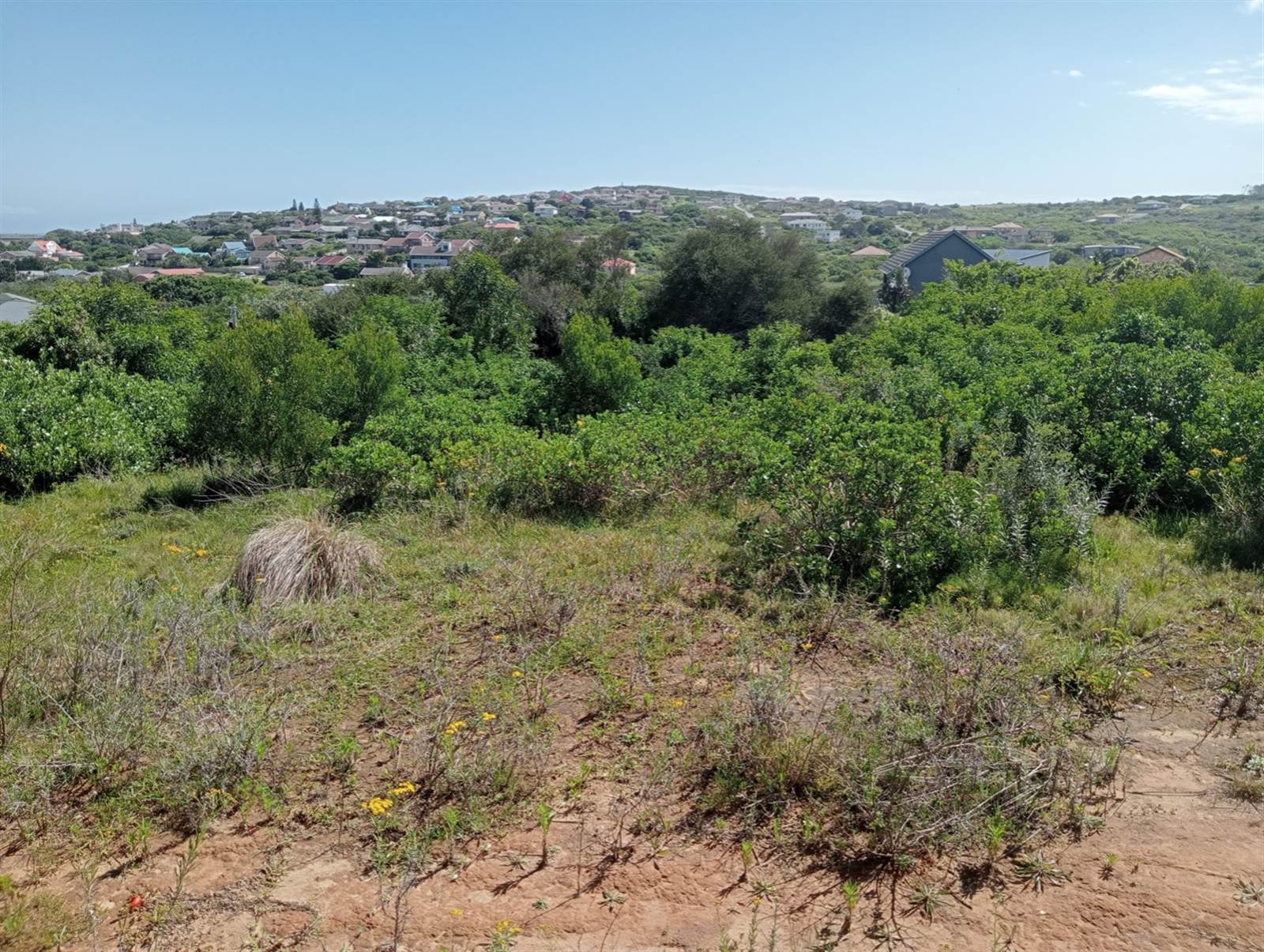 1341 m² Land available in West Bank photo number 8