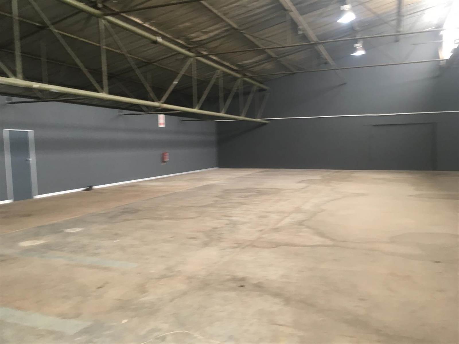 696  m² Industrial space in Spartan photo number 17