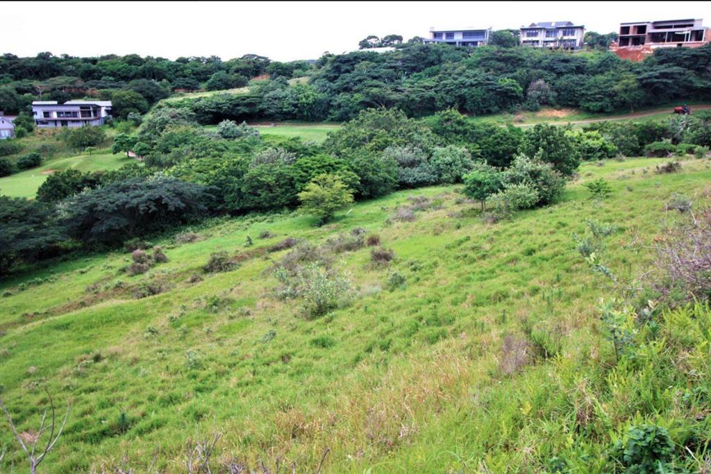 1586 m² Land available in Simbithi Estate photo number 5