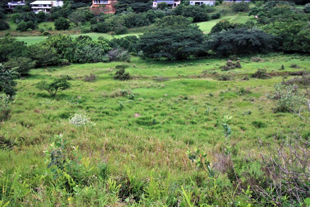 1586 m² Land available in Simbithi Estate photo number 7