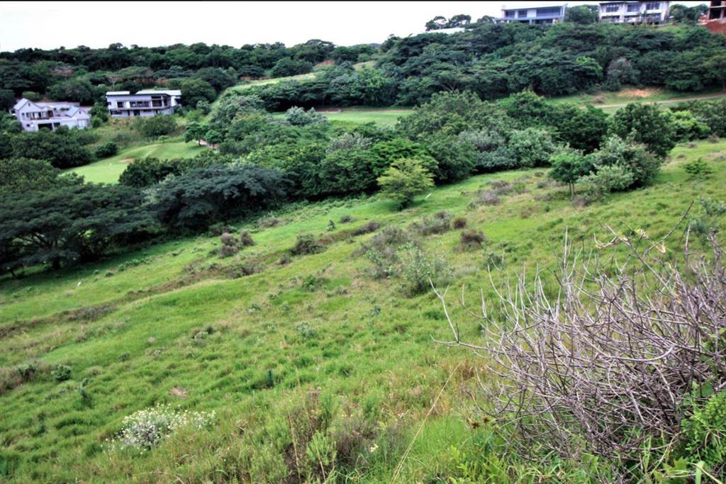 1586 m² Land available in Simbithi Estate photo number 9