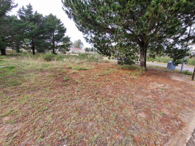 194 m² Land available in Albertinia photo number 8