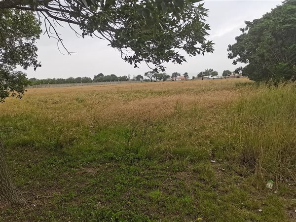 2231 m² Land available in Jameson Park