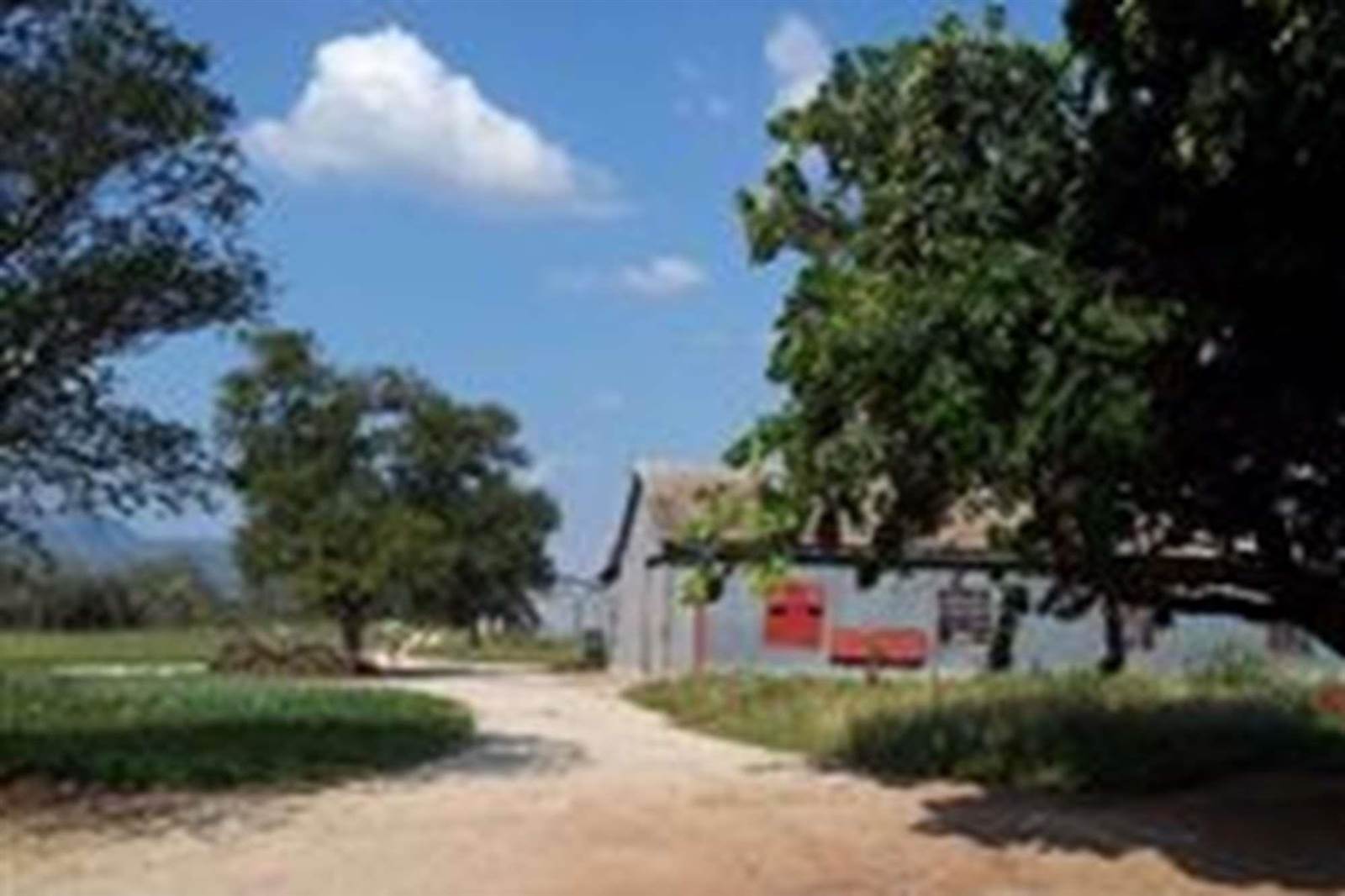 Farm in Thabazimbi photo number 15