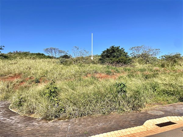 1078 m² Land available in Zimbali Lakes Resort