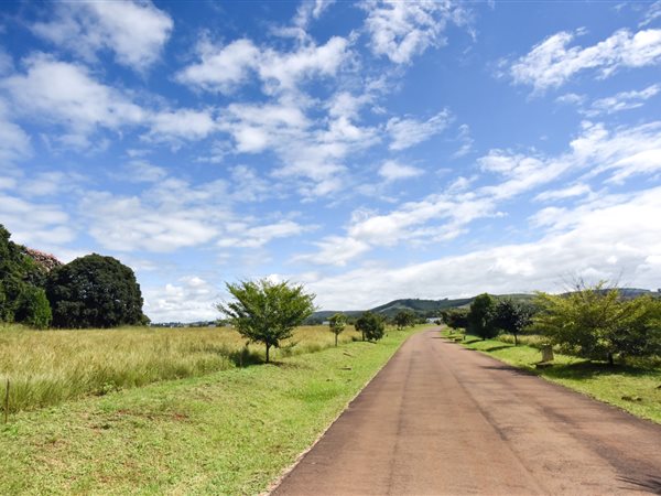 3598 m² Land available in Howick