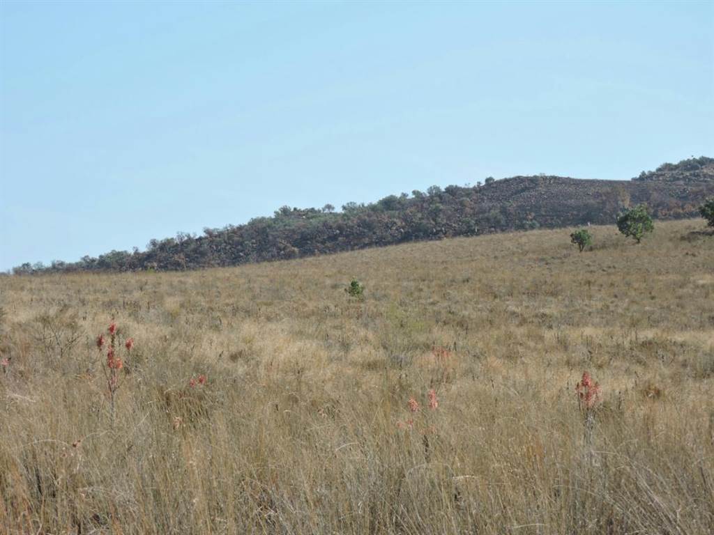 257.3 ha Land available in Magaliesburg photo number 5