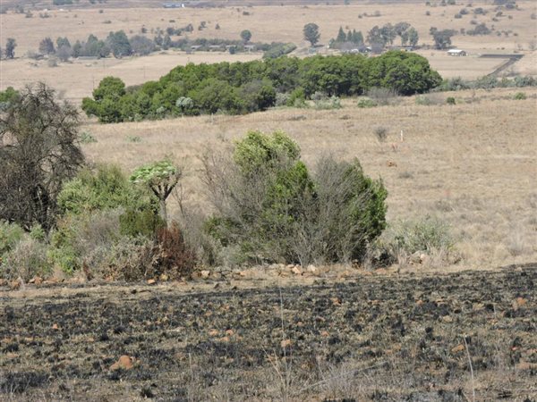257.3 ha Land available in Magaliesburg