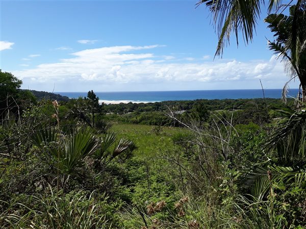 2589 m² Land available in Palm Beach