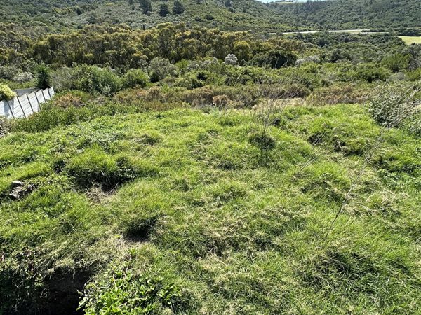 637 m² Land available in Pienaarstrand