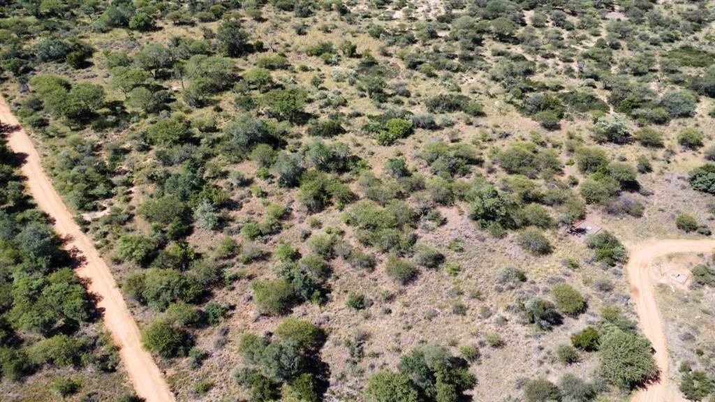 1000 m² Land available in Thabazimbi photo number 4