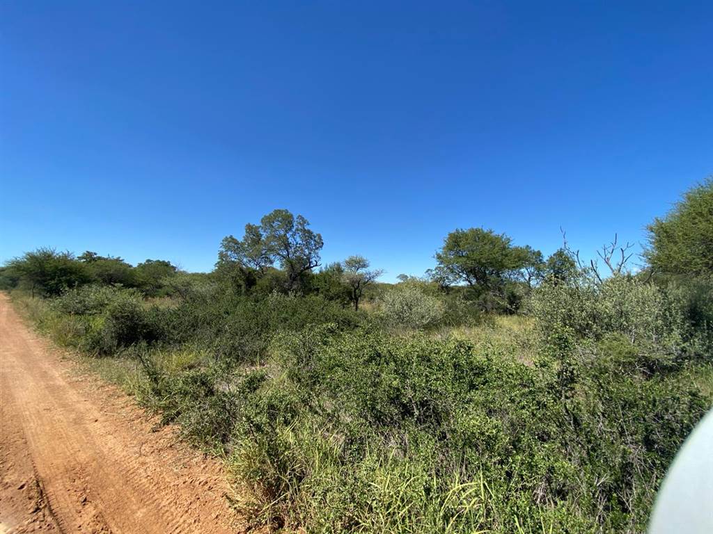 1000 m² Land available in Thabazimbi photo number 8