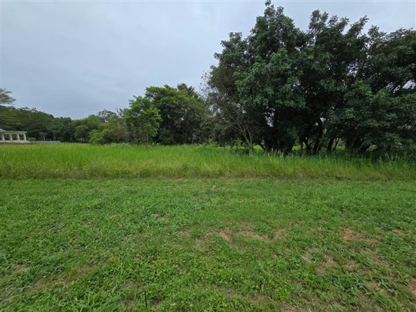 1 595 m² Land 1 595 m² Land