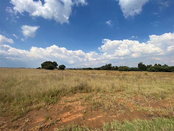 1.3 ha Land available in Naauwpoort