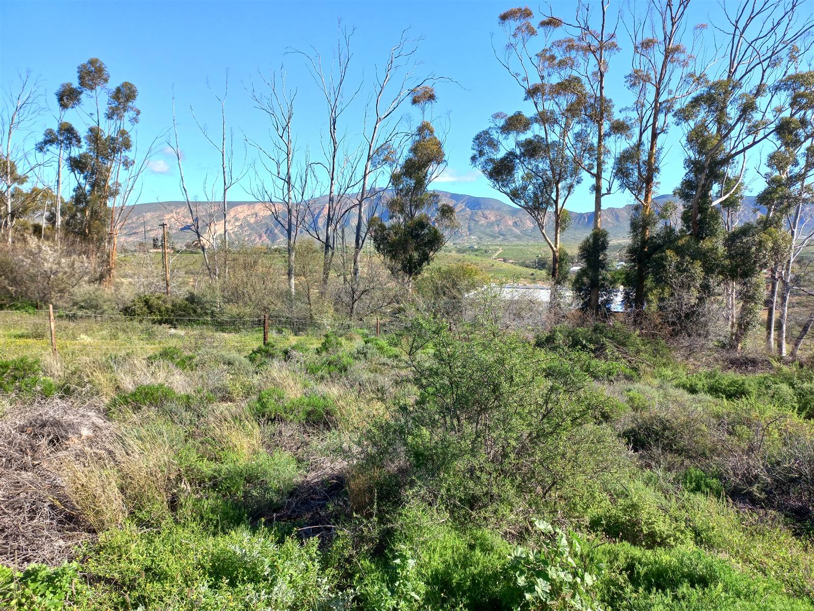 718 m² Land available in Calitzdorp photo number 5