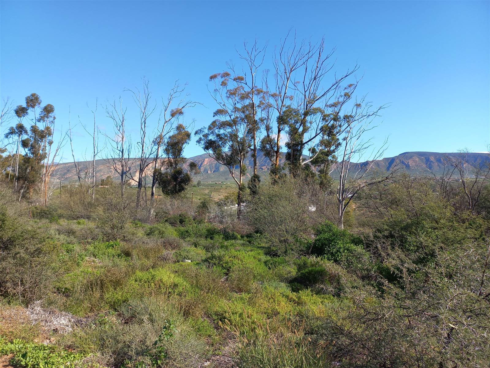 718 m² Land available in Calitzdorp photo number 7
