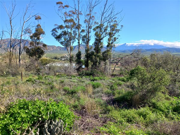 718 m² Land available in Calitzdorp