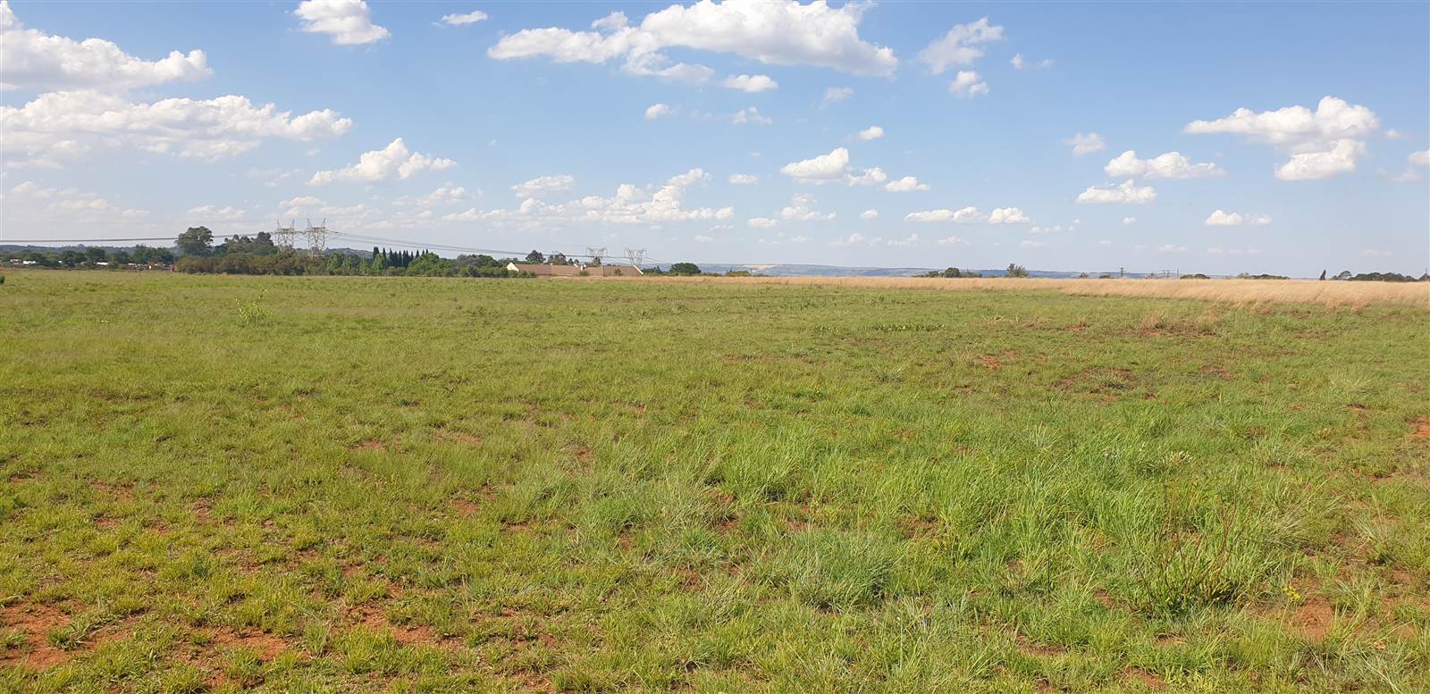5565 m² Land available in Bashewa photo number 3