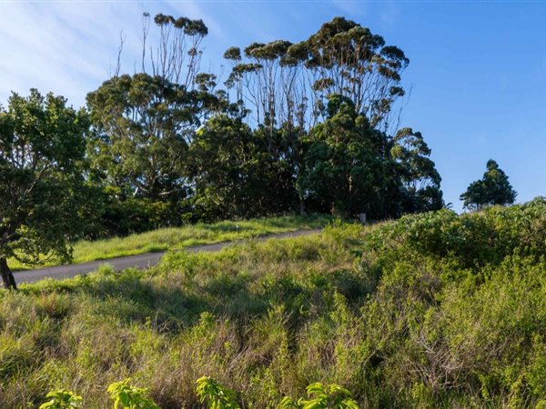 831 m² Land available in Shelly Beach