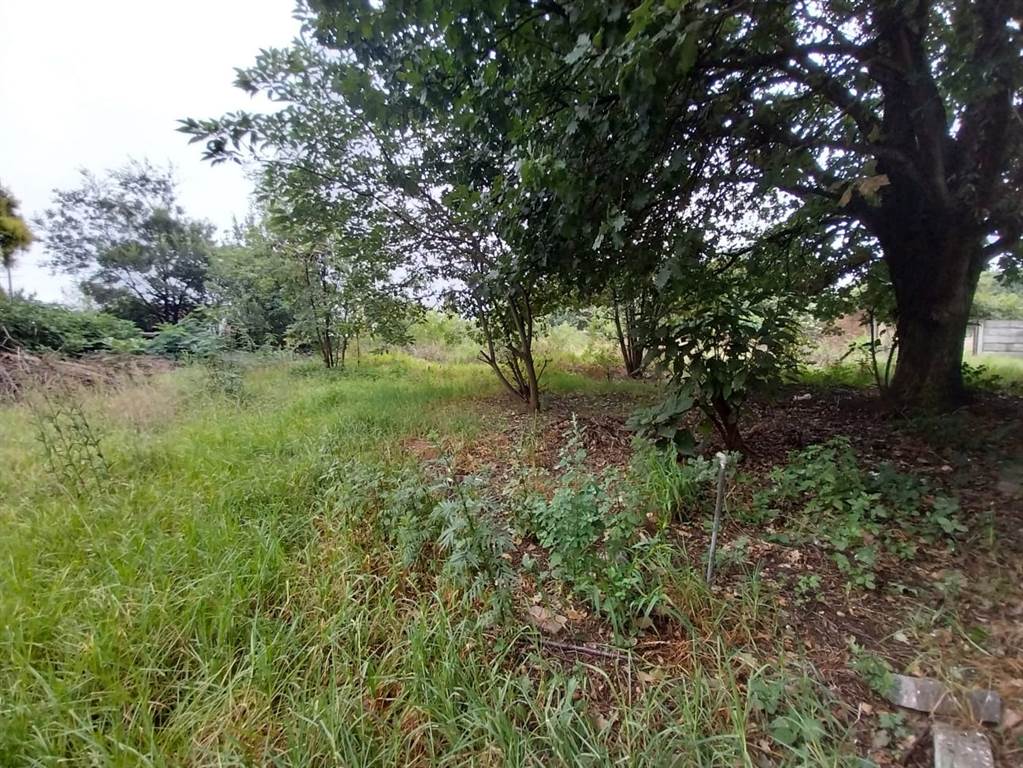 991 m² Land available in Eloff photo number 4