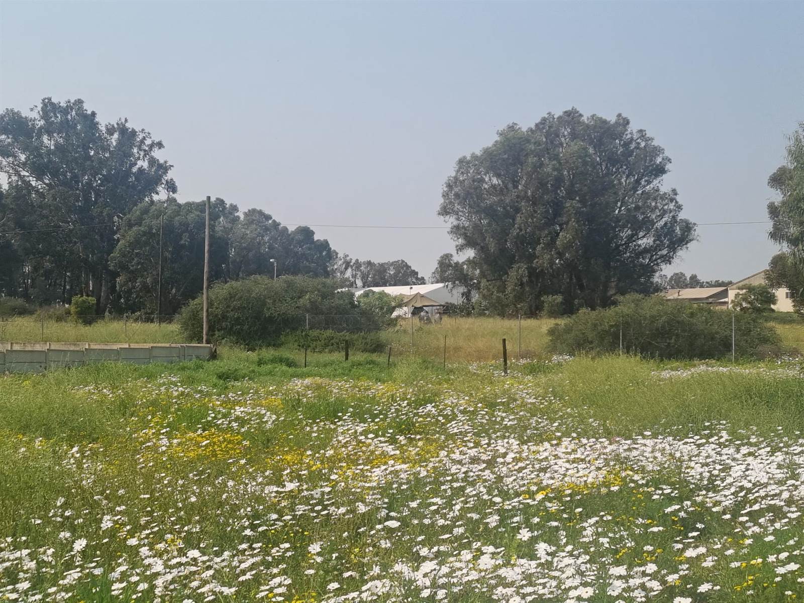 844 m² Land available in Hopefield photo number 5