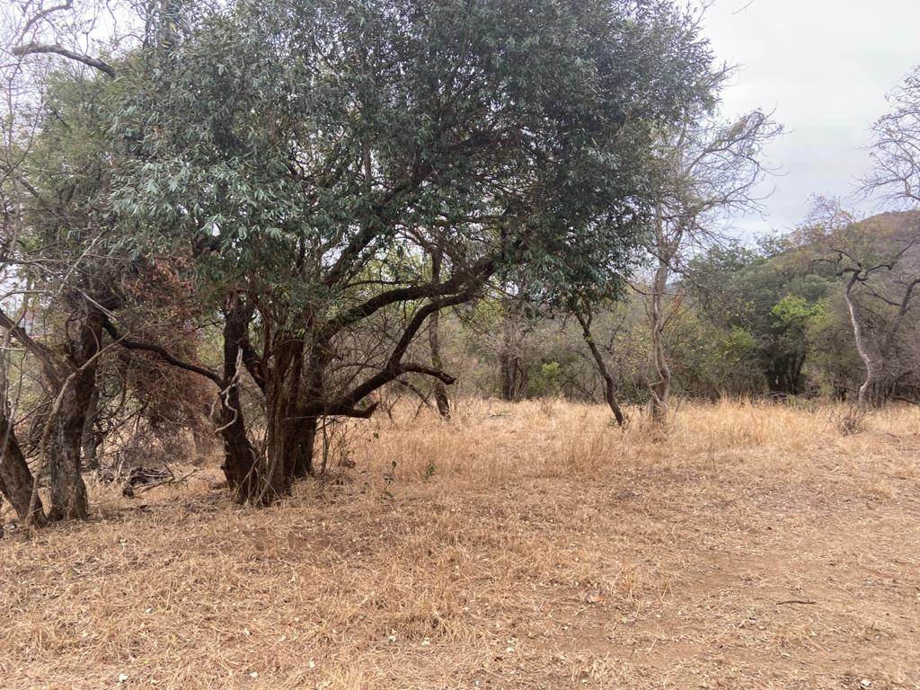 9224 m² Land available in Barberton photo number 6