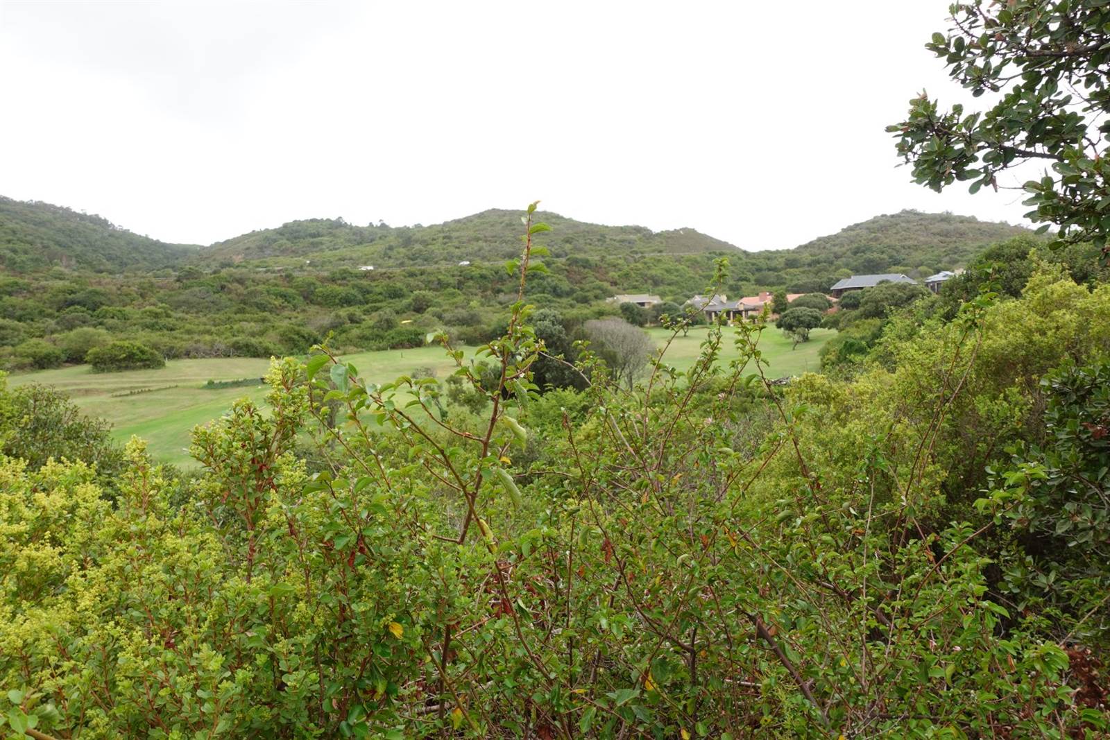 713 m² Land available in Dolphin Creek Golf Estate photo number 7
