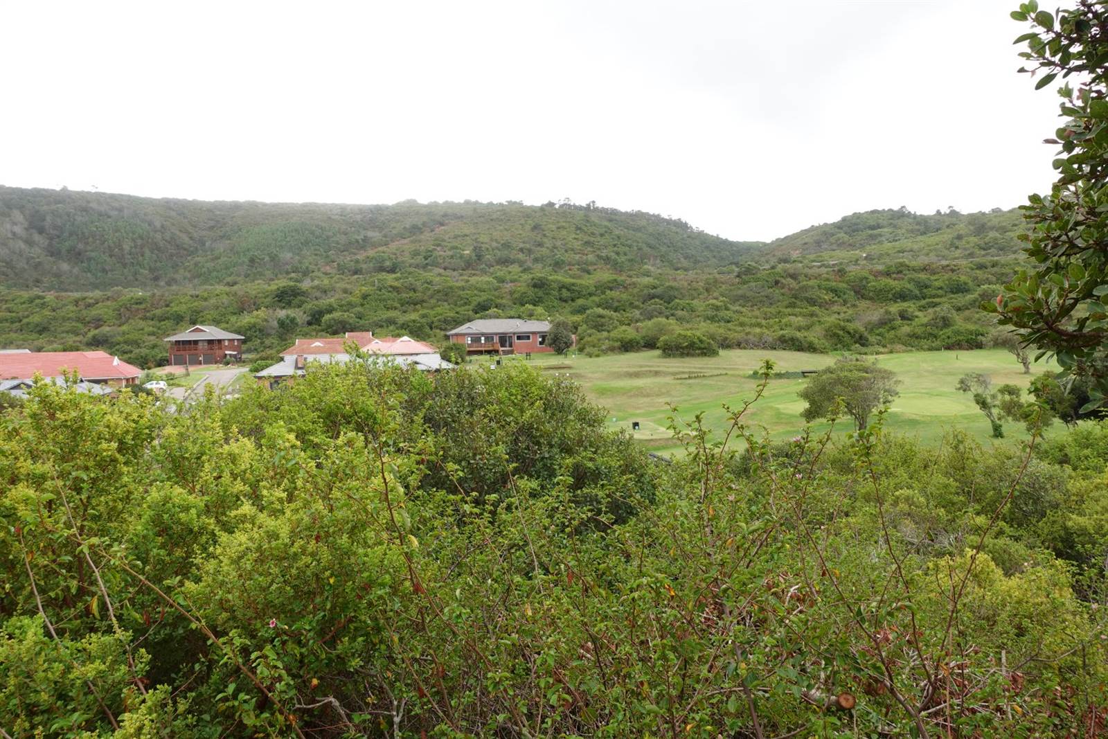 713 m² Land available in Dolphin Creek Golf Estate photo number 6