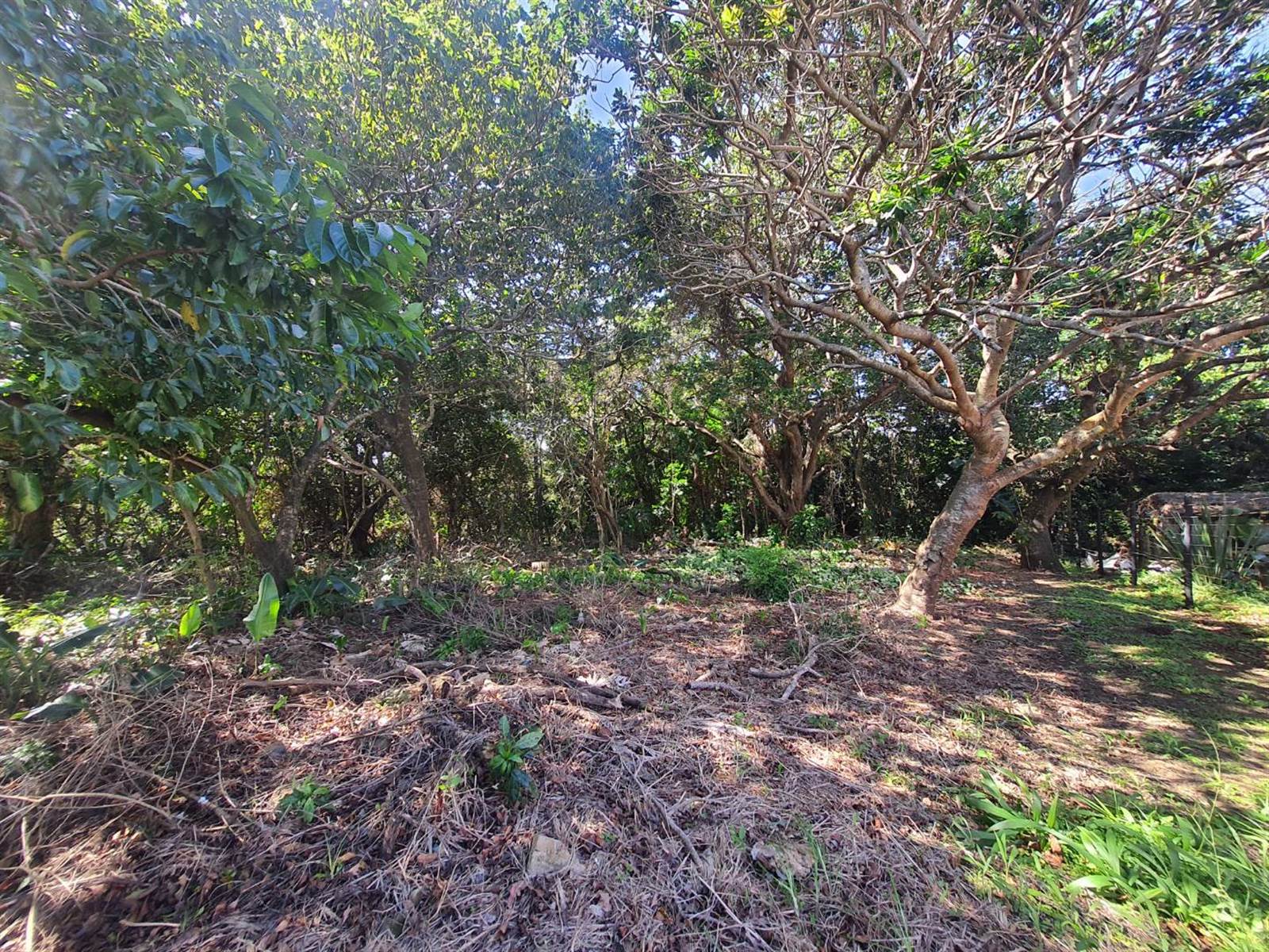 1766 m² Land available in Leisure Bay photo number 18