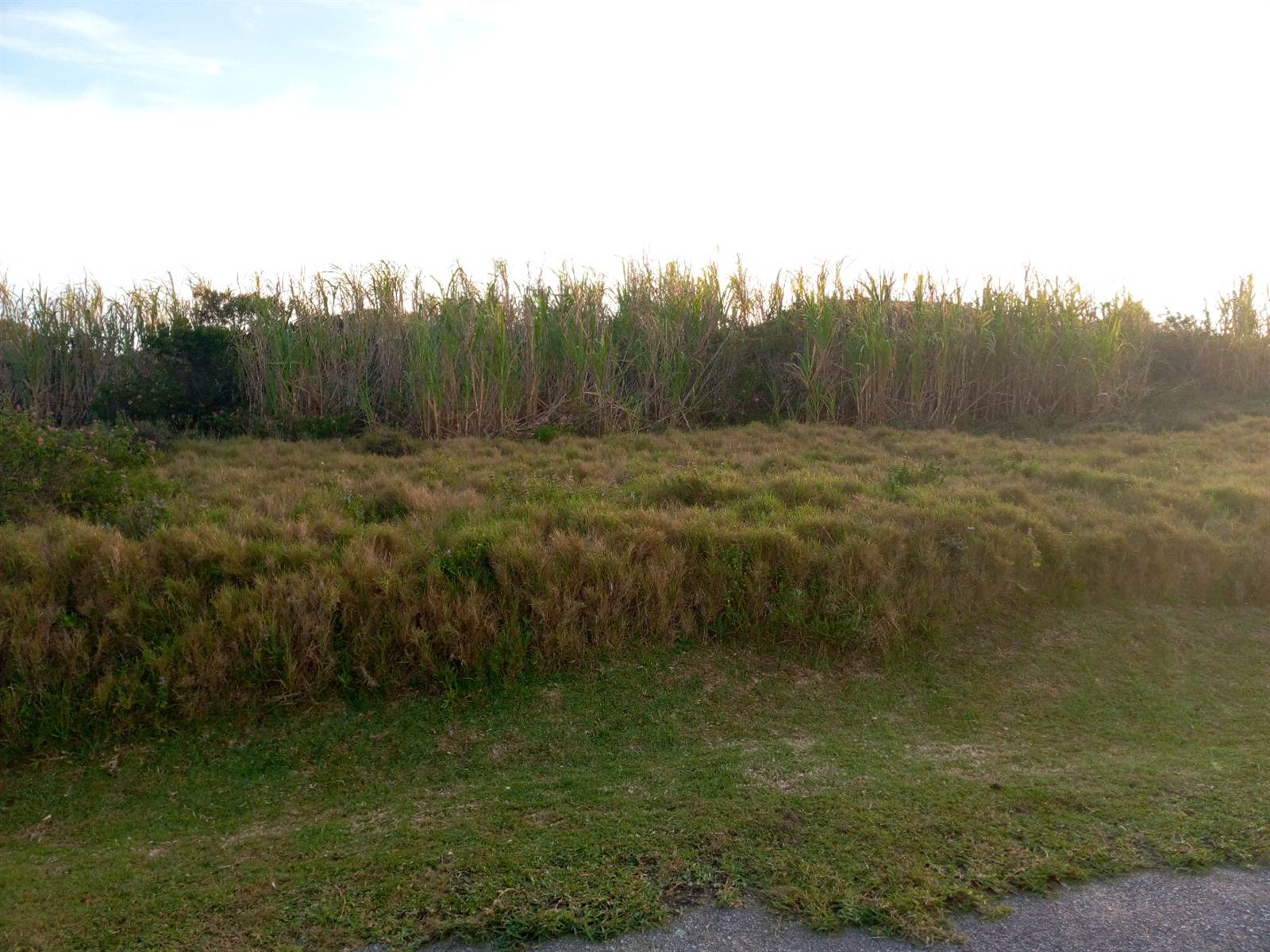 991 m² Land available in Port Alfred photo number 2