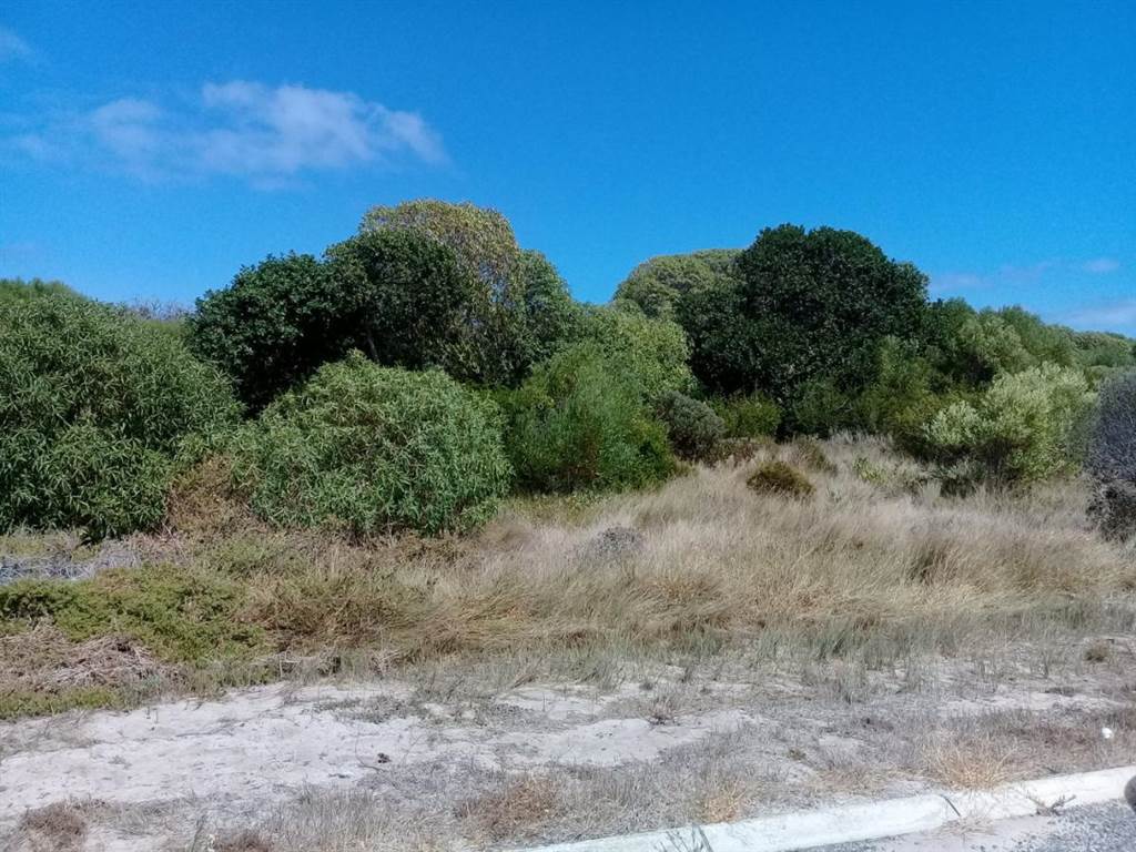 609 m² Land available in Kleinbaai photo number 4