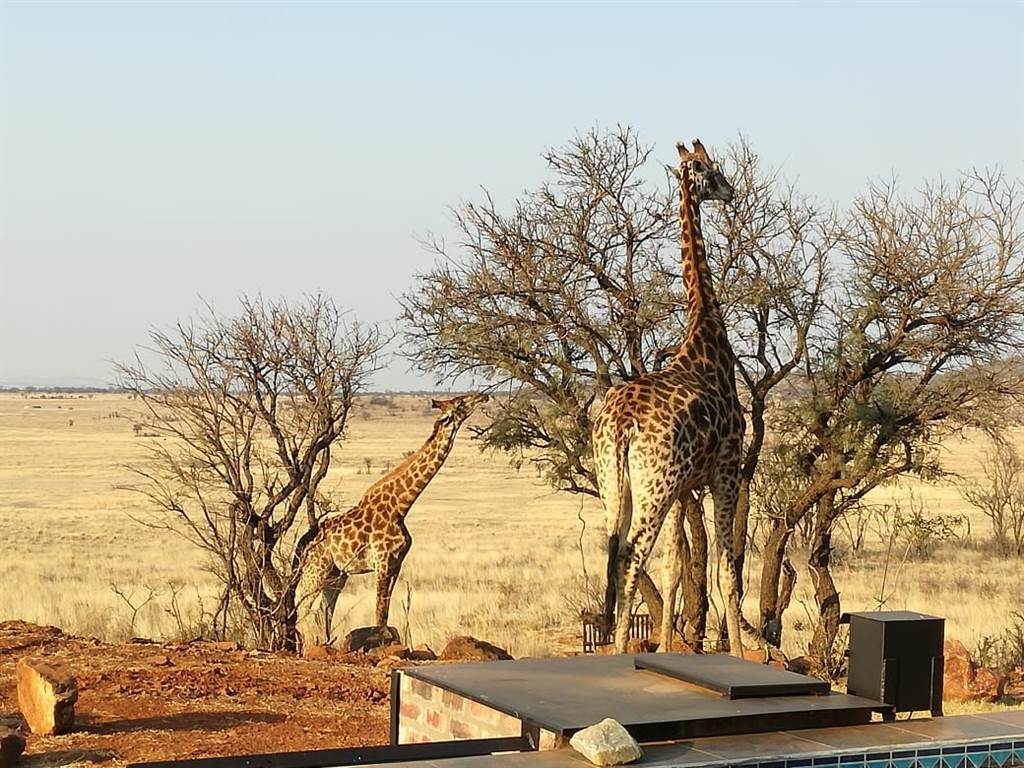 2000 m² Land available in Lekwena Wildlife Estate photo number 23