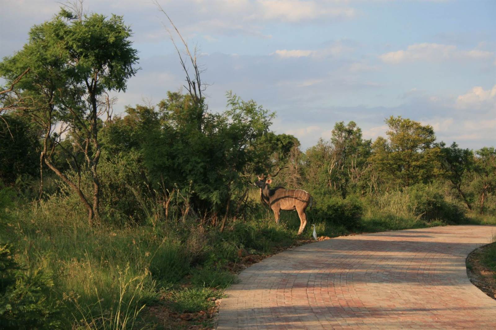 2000 m² Land available in Lekwena Wildlife Estate photo number 21