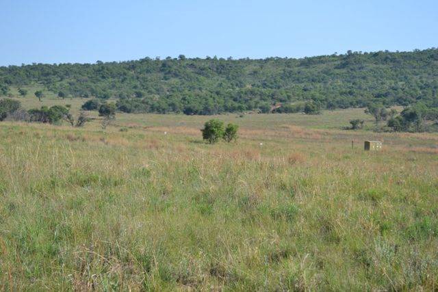 2000 m² Land available in Lekwena Wildlife Estate photo number 5