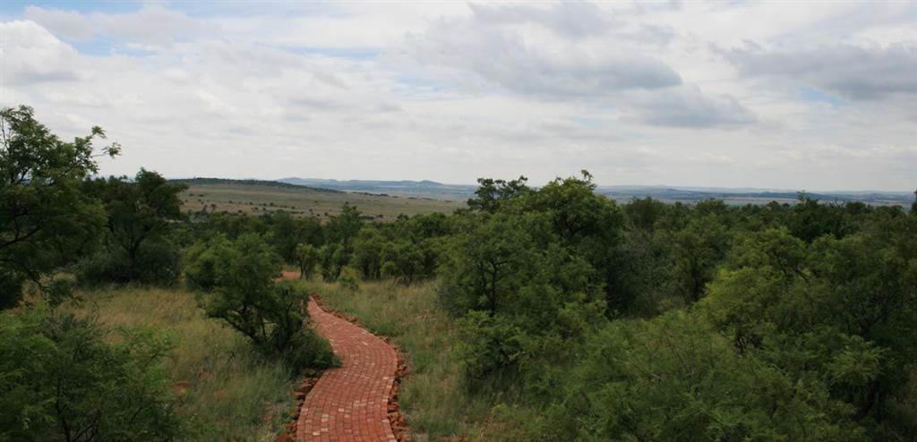 2000 m² Land available in Lekwena Wildlife Estate photo number 19