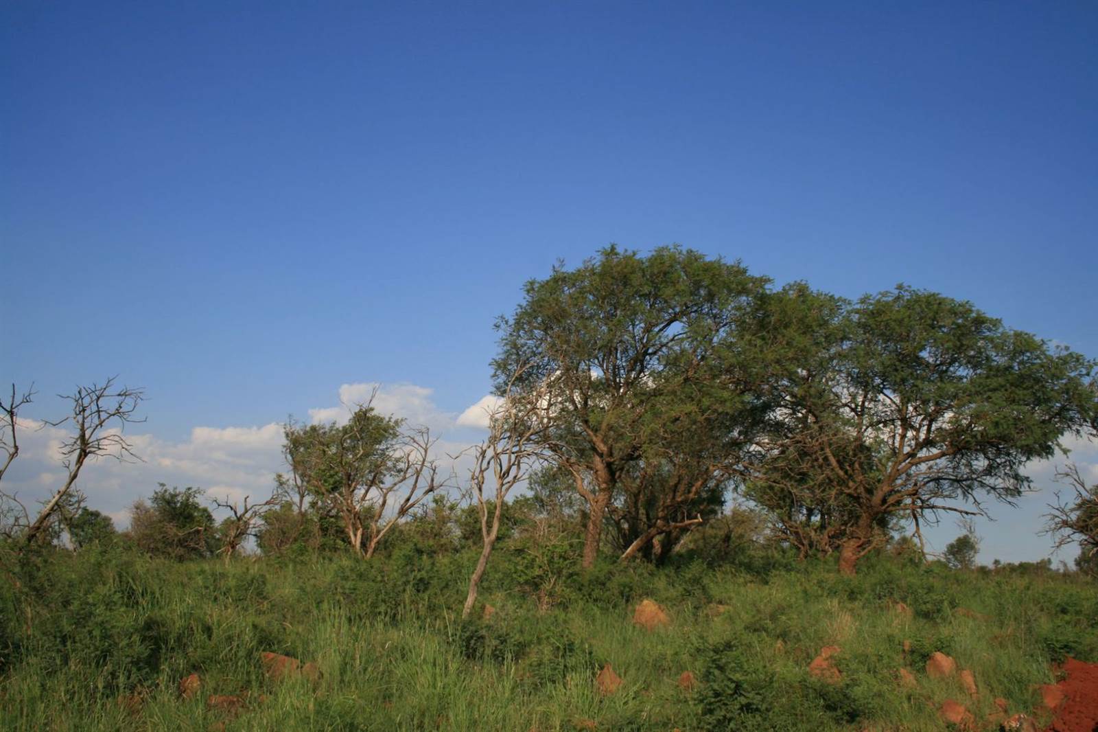 2000 m² Land available in Lekwena Wildlife Estate photo number 10
