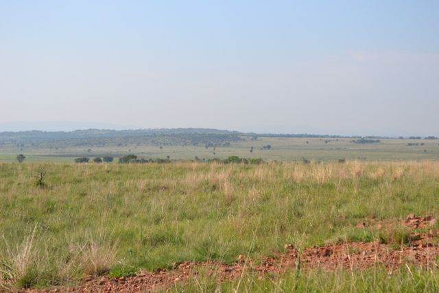 2000 m² Land available in Lekwena Wildlife Estate photo number 8