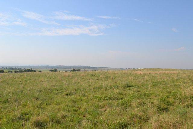2000 m² Land available in Lekwena Wildlife Estate photo number 4