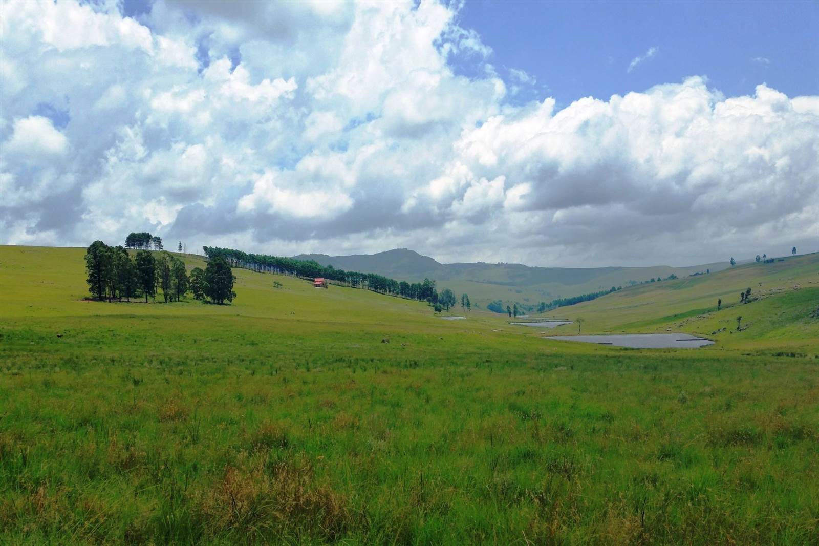 1 ha Land available in Dullstroom photo number 7