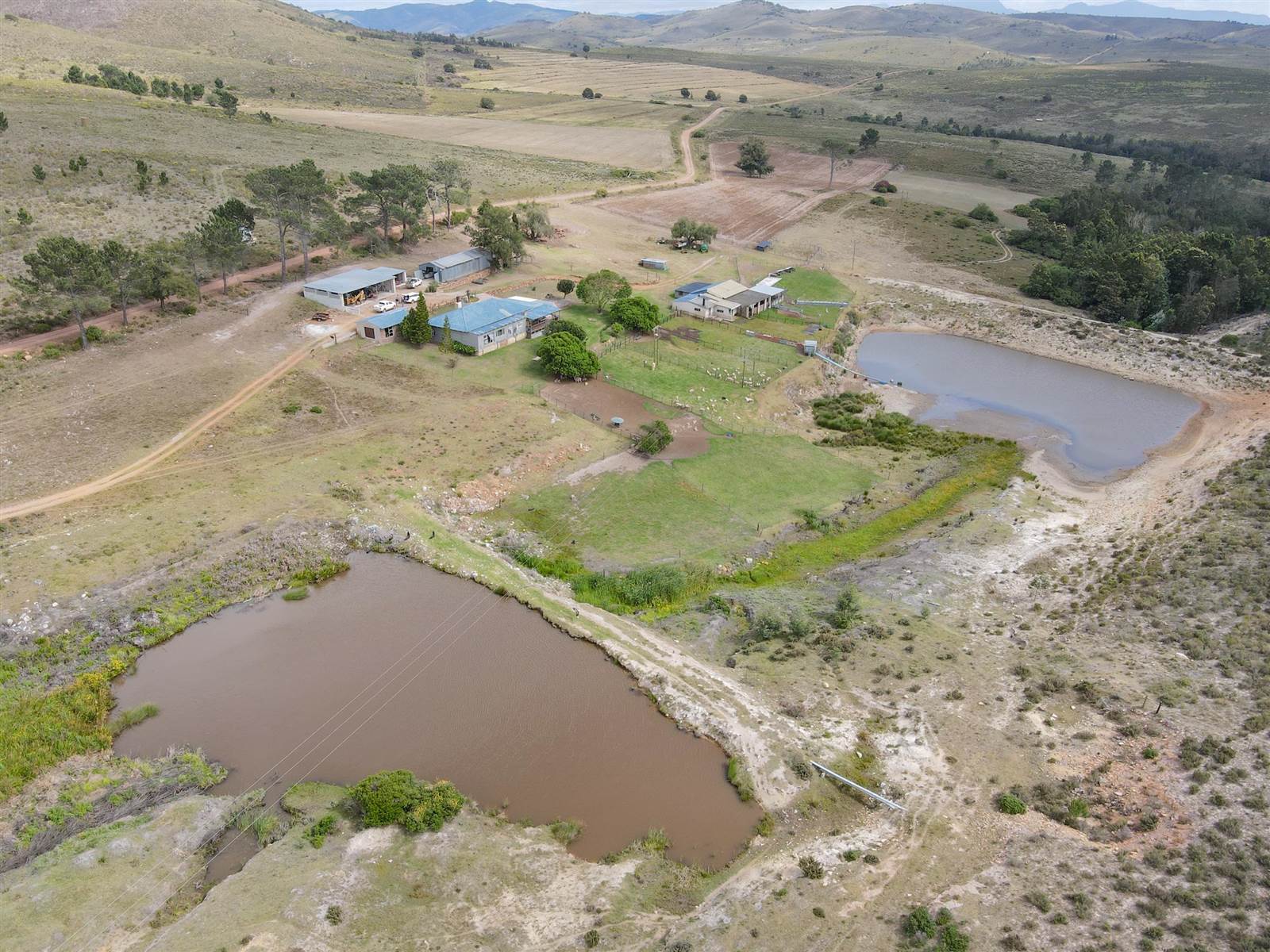 Farm in Humansdorp photo number 3