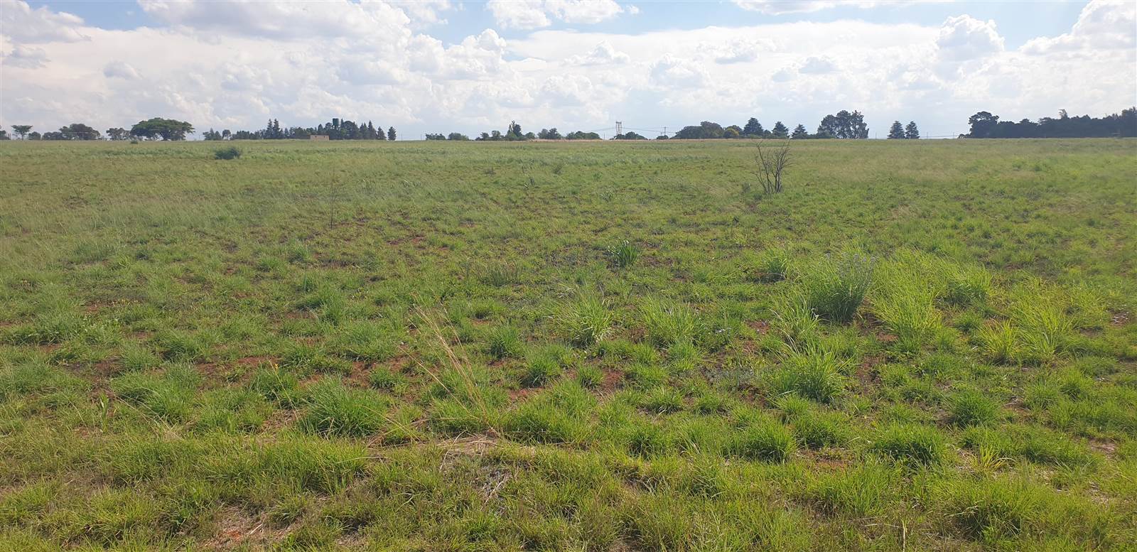 10 ha Land available in Bashewa photo number 7